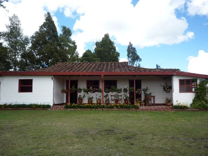 Finca en venta en La china, San pedro - Miniatura 3