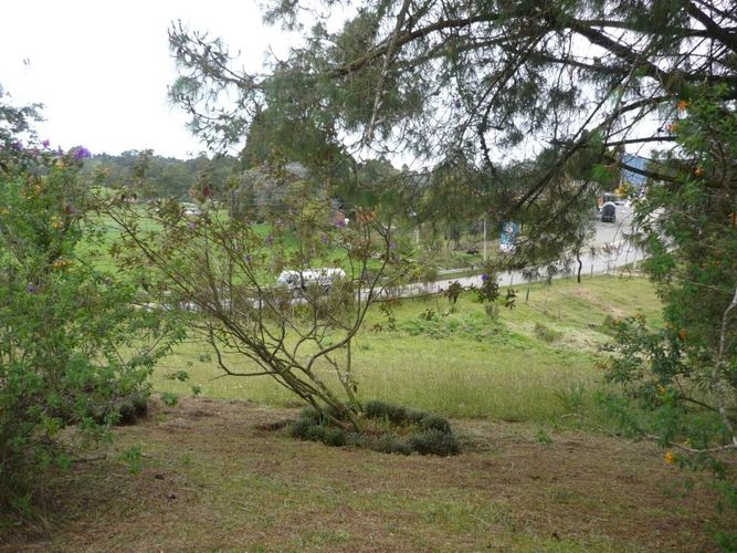 Finca en venta en La china, San pedro - Miniatura 5