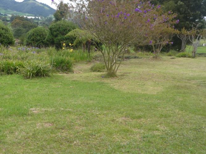 Finca en venta en La china, San pedro - Miniatura 6