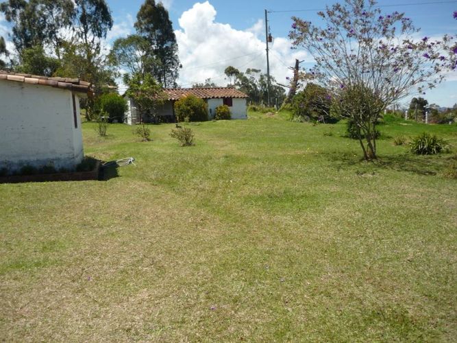 Finca en venta en La china, San pedro - Miniatura 8