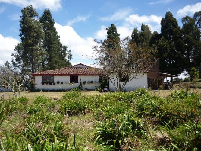 Finca en venta en La china, San pedro - Miniatura 9