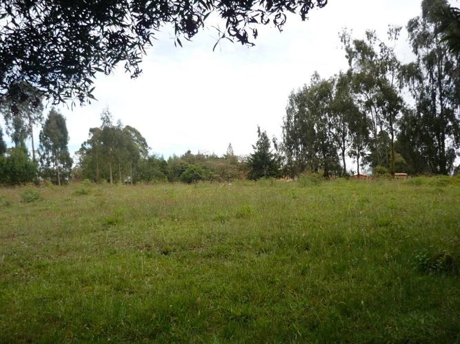 Finca en venta en La china, San pedro - Miniatura 10