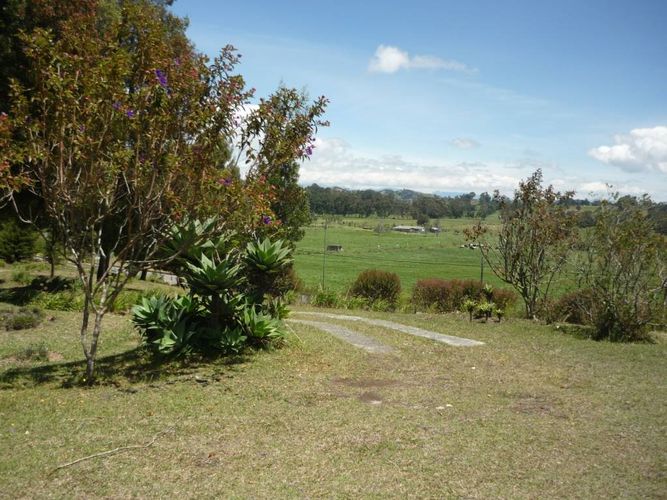 Finca en venta en La china, San pedro - Miniatura 11