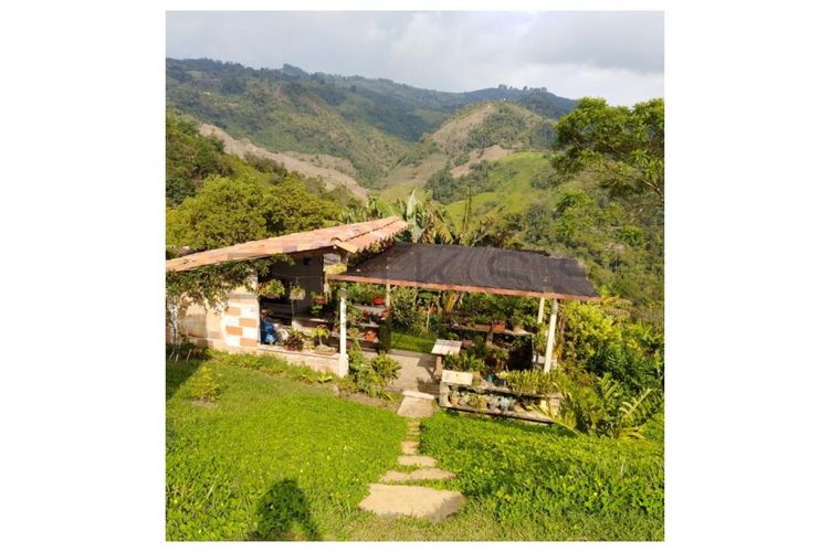 Finca en venta en Fredonia - Miniatura 7