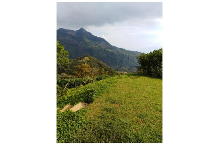 Finca en venta en Fredonia - Miniatura 8