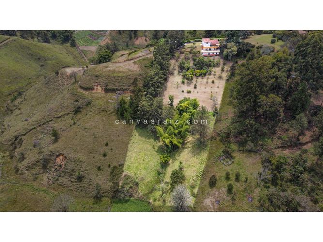 Finca en  Venta en Rionegro - Miniatura 3
