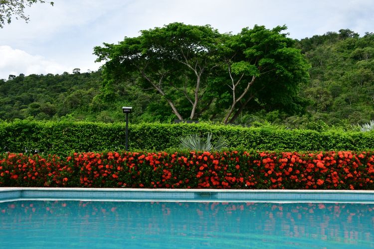 Finca en  Venta en Santafe de antioquia - Miniatura 15