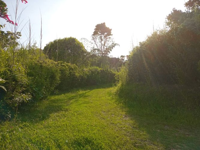 Finca en  Venta en Anolaima - Miniatura 8