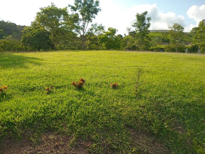 Finca en  Venta en Anolaima - Miniatura 9