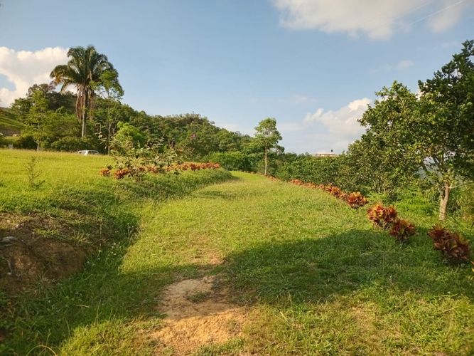 Finca en  Venta en Anolaima - Miniatura 12