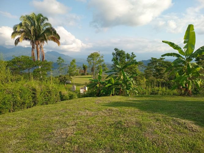 Finca en  Venta en Anolaima - Miniatura 13