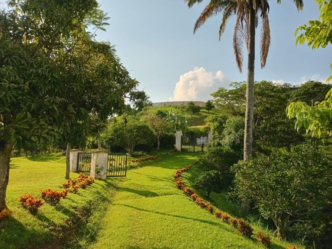 Finca en  Venta en Anolaima - Miniatura 18
