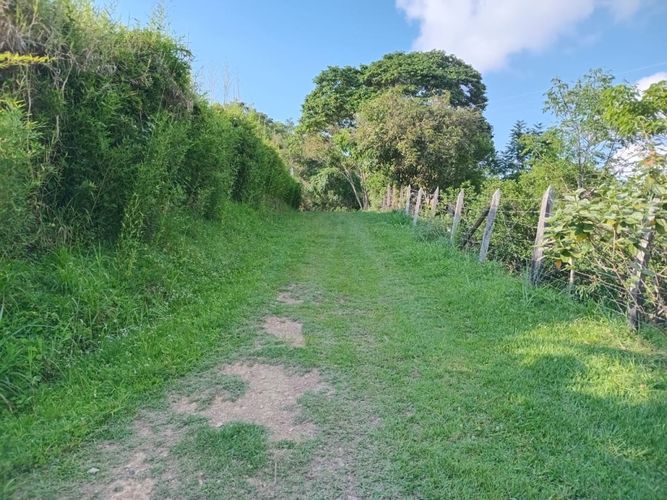 Finca en  Venta en Anolaima - Miniatura 19