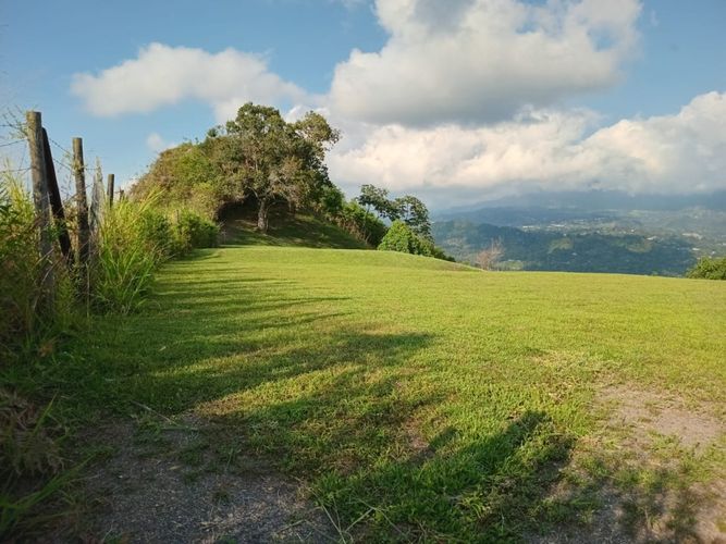 Finca en  Venta en Anolaima - Miniatura 20