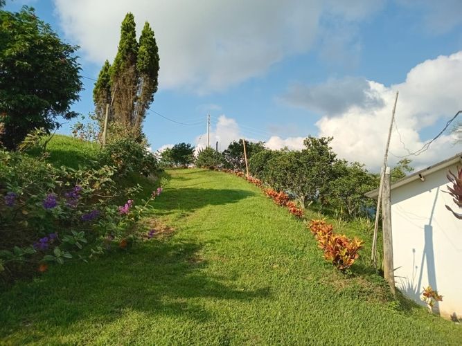 Finca en  Venta en Anolaima - Miniatura 21