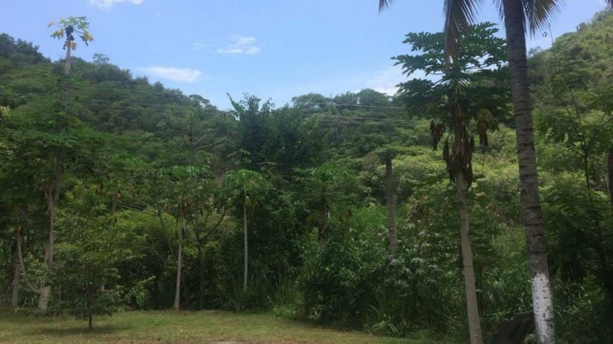 Finca en  Venta en Condominios Campestre Anapoima, Anapoima - Miniatura 5