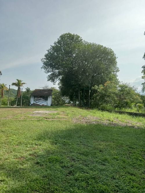 Finca en  Venta en Condominios Campestre Anapoima, Anapoima - Miniatura 6