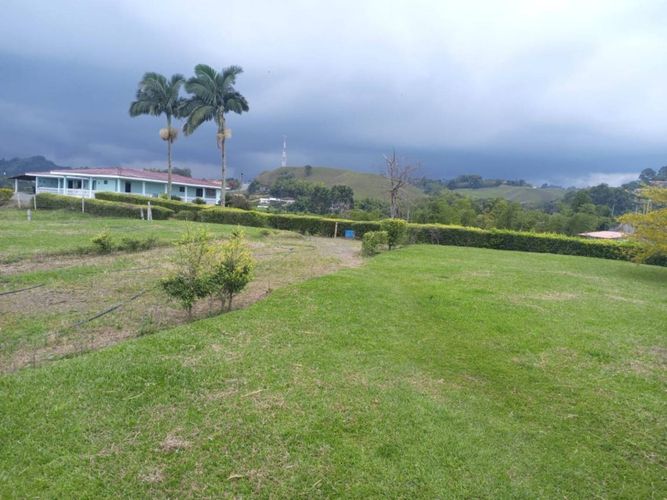 Finca en  Venta en Tribunas corcega, Pereira - Miniatura 5