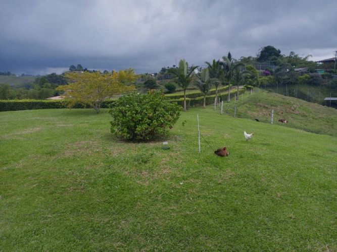 Finca en  Venta en Tribunas corcega, Pereira - Miniatura 6