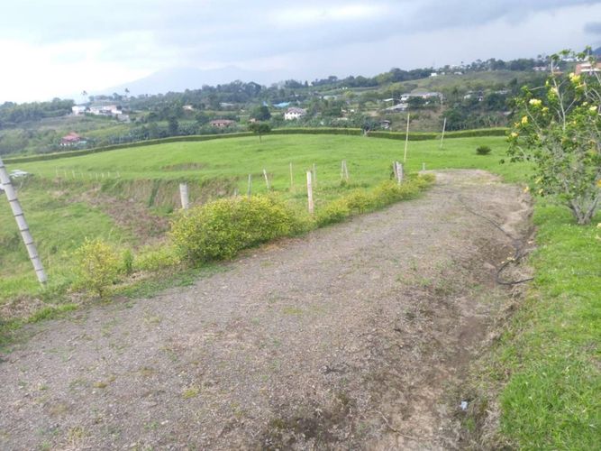 Finca en  Venta en Tribunas corcega, Pereira - Miniatura 8