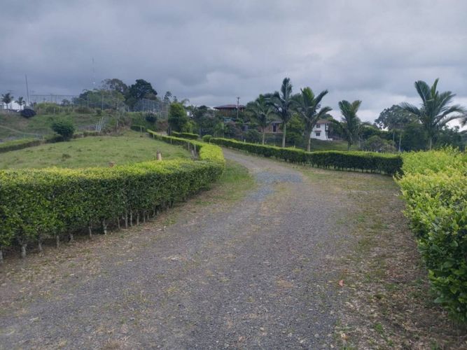 Finca en  Venta en Tribunas corcega, Pereira - Miniatura 9