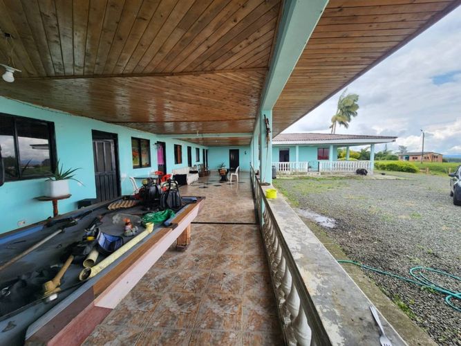 Finca en  Venta en Tribunas corcega, Pereira - Miniatura 12