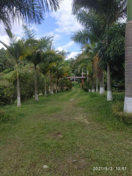 Finca en  Venta en Bogotá - Miniatura 8