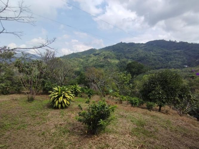 Finca en  Venta en Bogotá - Miniatura 24
