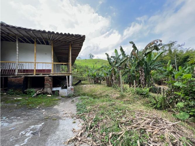 Finca en  Venta en El rosario, Manizales - Miniatura 4