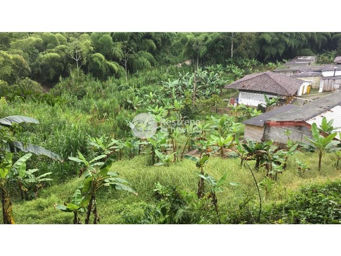 Finca en  Venta en El rosario, Manizales - Miniatura 6