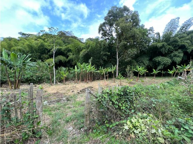 Finca en  Venta en El rosario, Manizales - Miniatura 7
