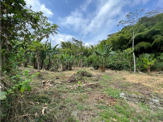 Finca en  Venta en El rosario, Manizales - Miniatura 8