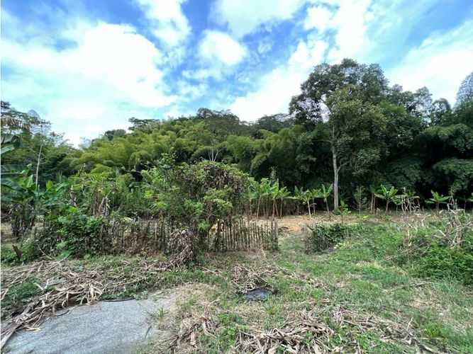 Finca en  Venta en El rosario, Manizales - Miniatura 9