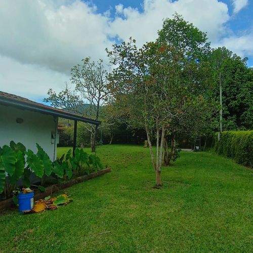 Finca en  Arriendo en El carmen de viboral - Miniatura 4