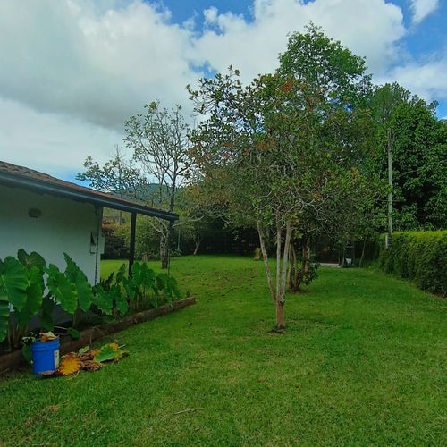 Finca en  Arriendo en El carmen de viboral - Miniatura 4