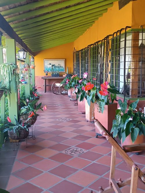 Finca en  Arriendo en San nicolas, La ceja - Miniatura 6