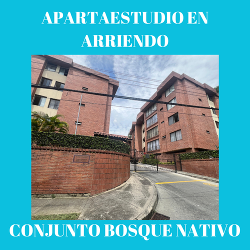 Apartaestudio en  Arriendo en Ibagué - Imagen 1