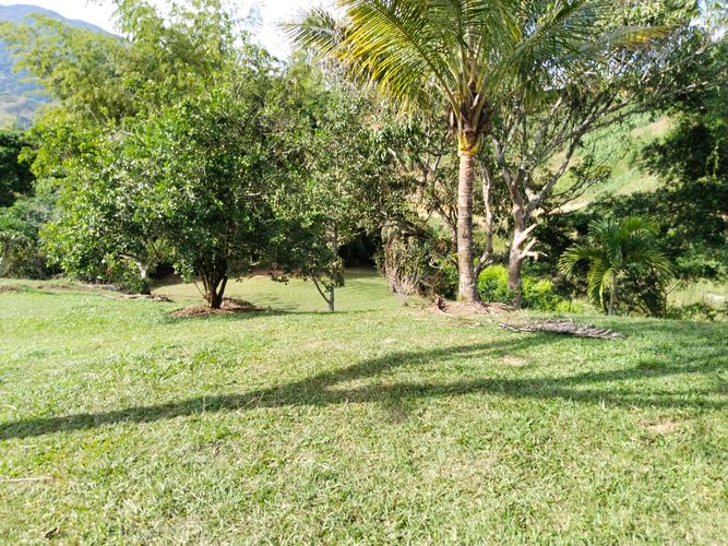 Finca en  Venta en Popalito, Barbosa - Imagen 1