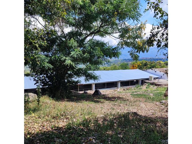 Finca en  Venta en Fusagasugá - Miniatura 11