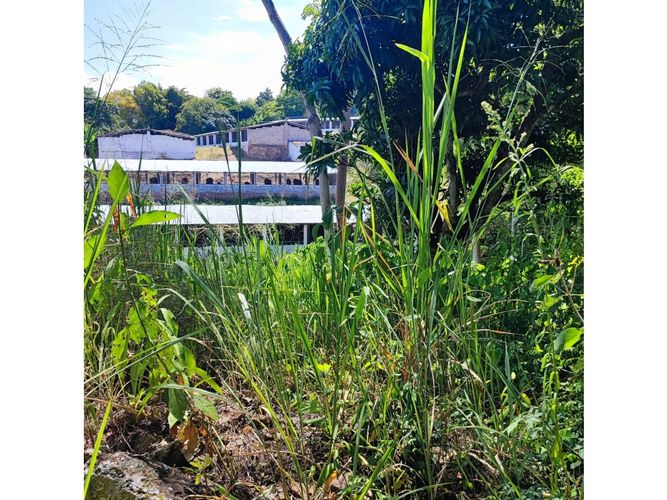 Finca en  Venta en Fusagasugá - Miniatura 12