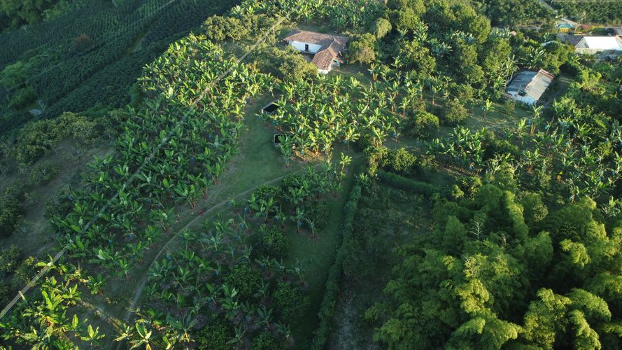 Finca en  Venta en La capilla, Santa rosa de cabal - Miniatura 4