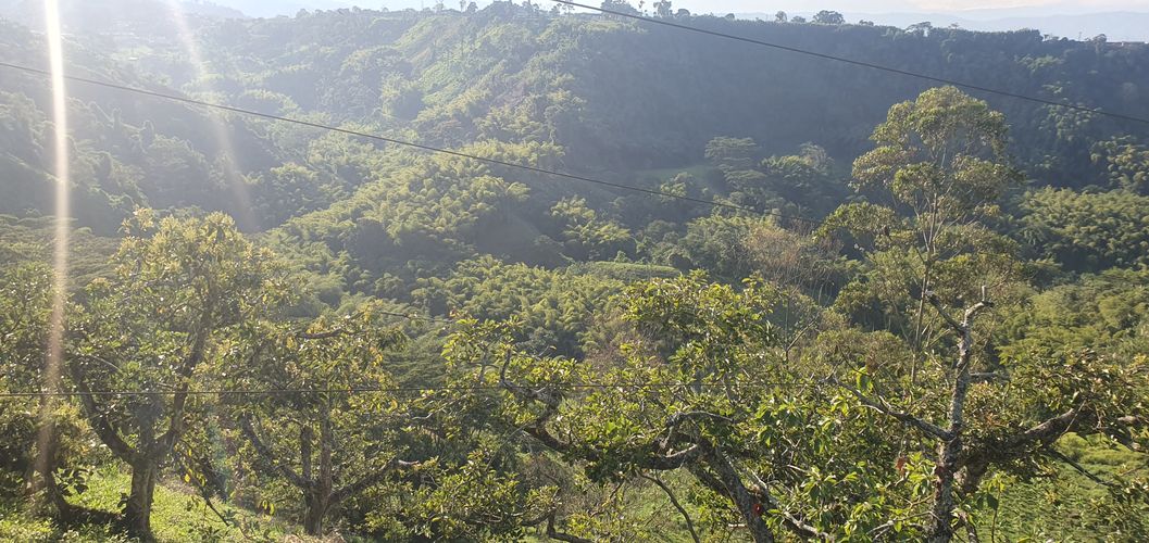 Finca en  Venta en La capilla, Santa rosa de cabal - Miniatura 6