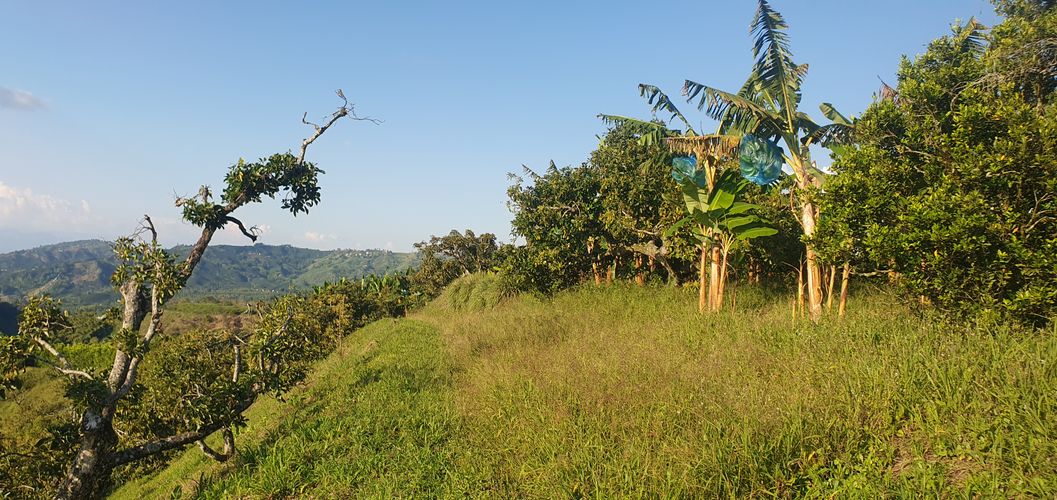 Finca en  Venta en La capilla, Santa rosa de cabal - Miniatura 10