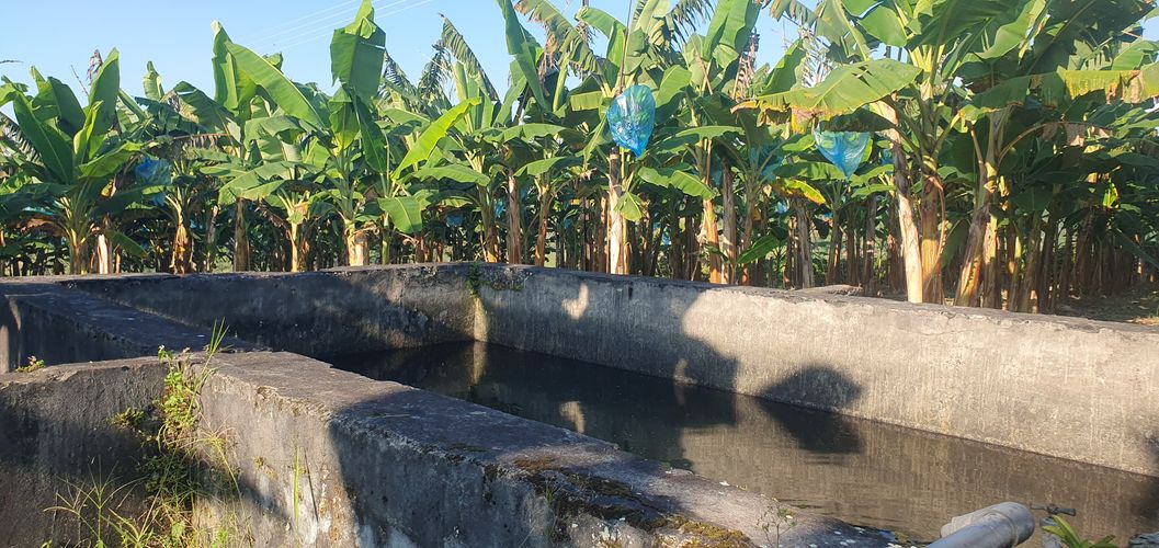 Finca en  Venta en La capilla, Santa rosa de cabal - Miniatura 11