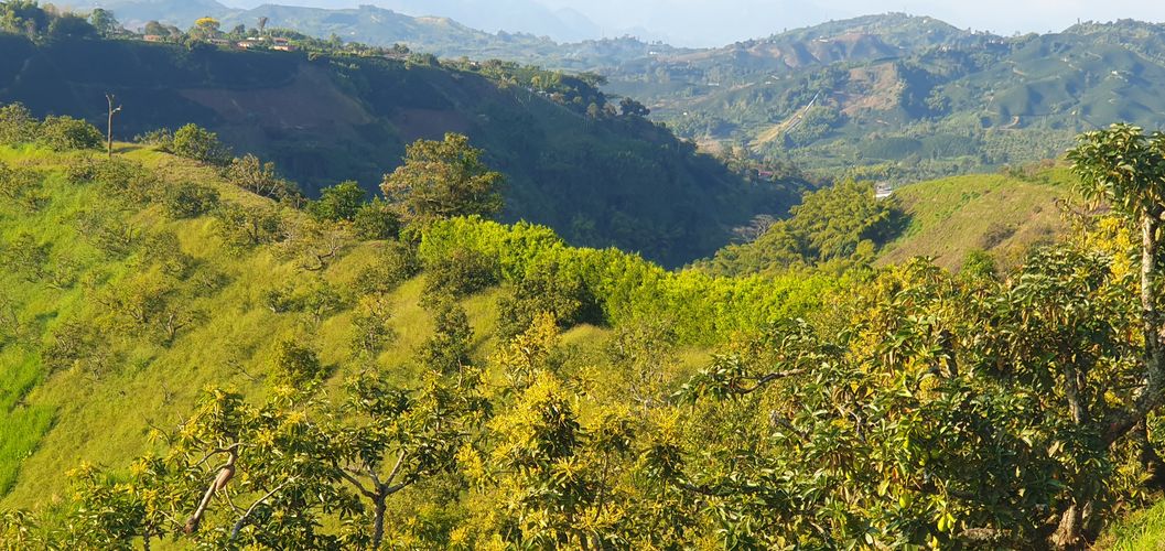 Finca en  Venta en La capilla, Santa rosa de cabal - Miniatura 13