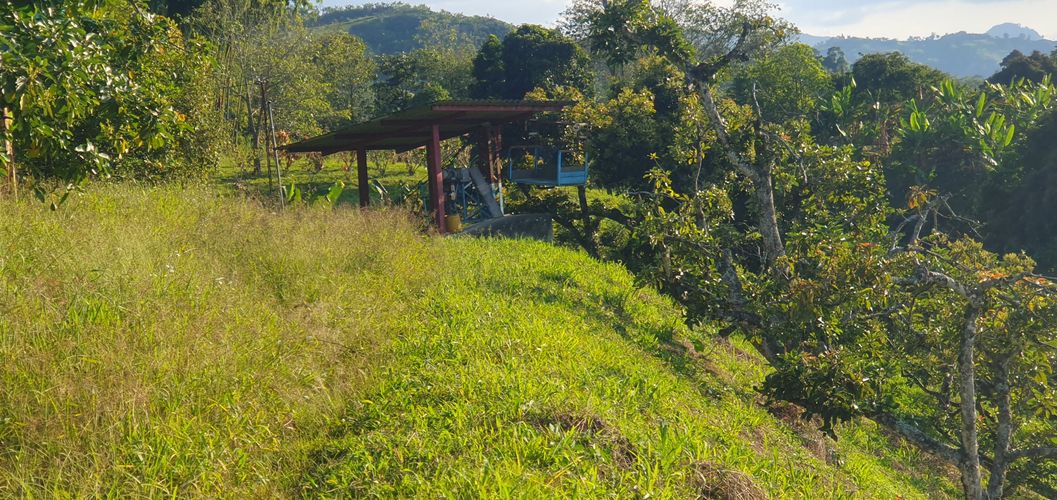 Finca en  Venta en La capilla, Santa rosa de cabal - Miniatura 14