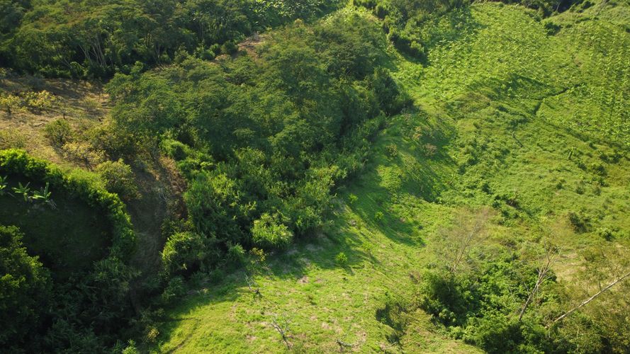 Finca en  Venta en La capilla, Santa rosa de cabal - Miniatura 16