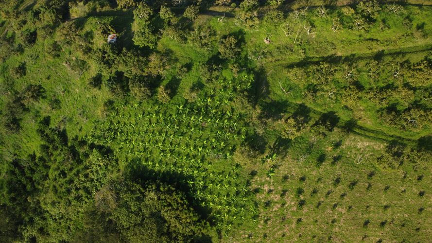 Finca en  Venta en La capilla, Santa rosa de cabal - Miniatura 23