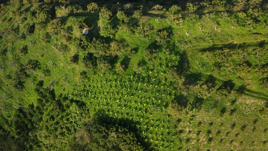 Finca en  Venta en La capilla, Santa rosa de cabal - Miniatura 24