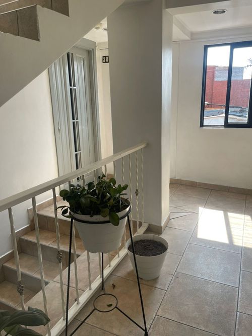 Apartaestudio en  Arriendo en Centro, Pereira - Miniatura 5